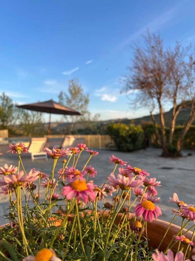 Villa Giara Calosso Εξωτερικό φωτογραφία